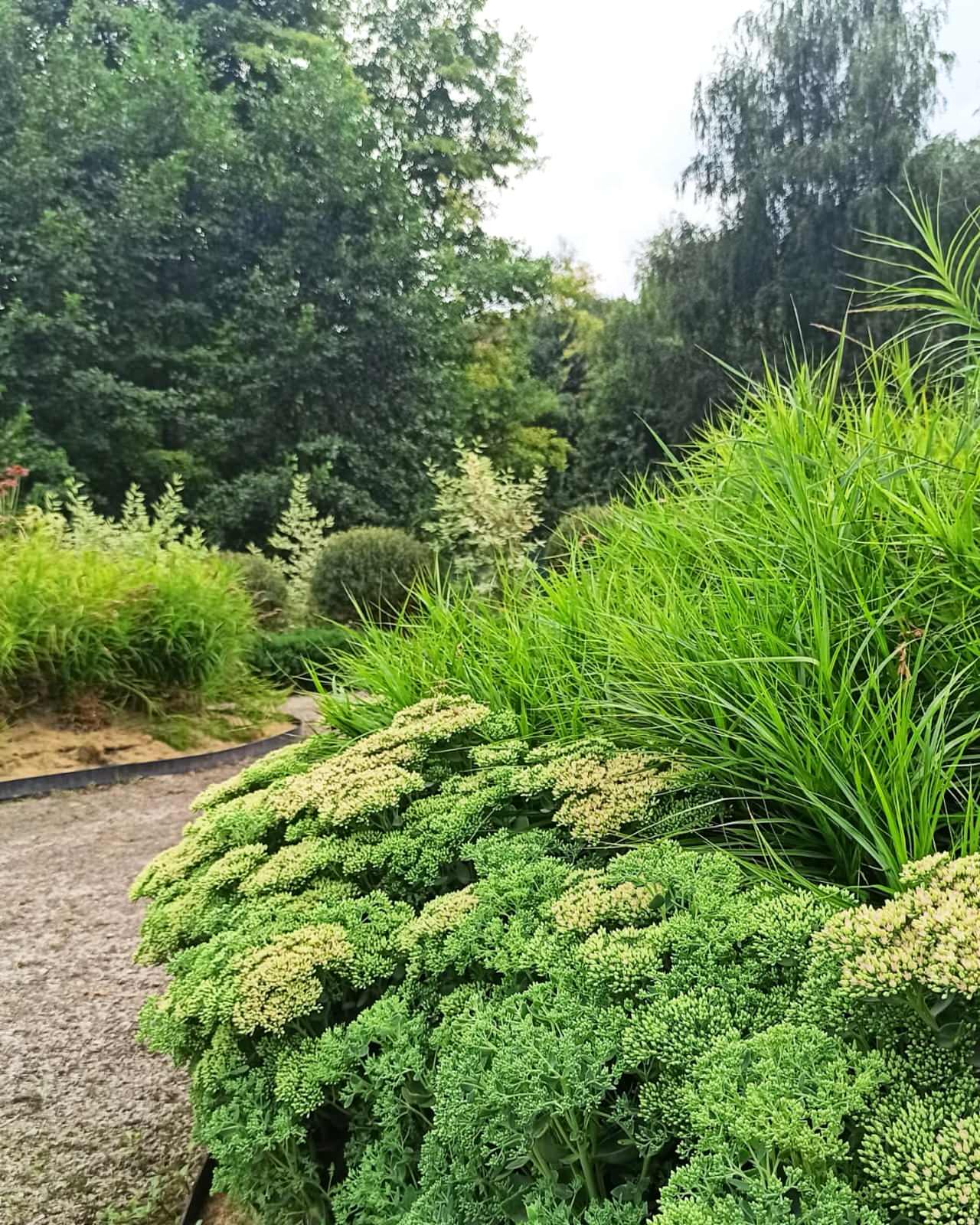 Сад на холмах - по мотивам Пита Удольфа.