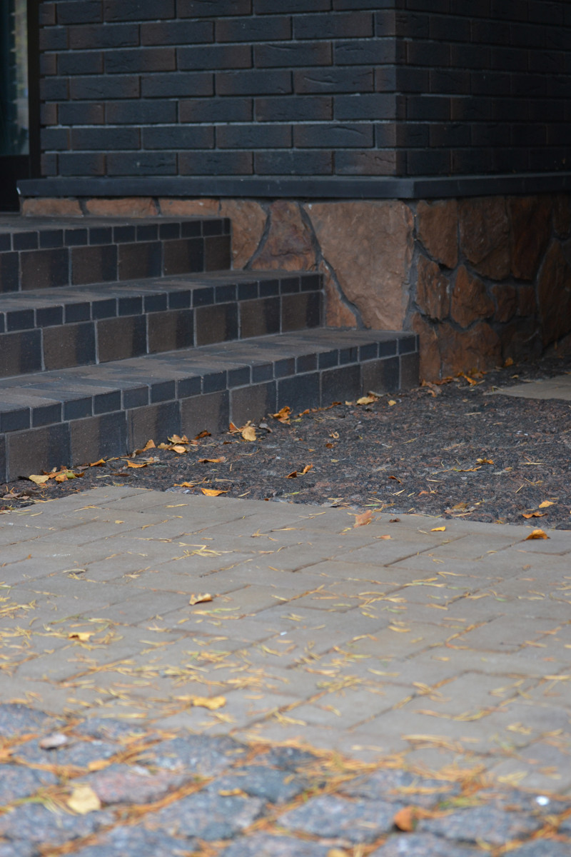 Райт и Ленинградский лес