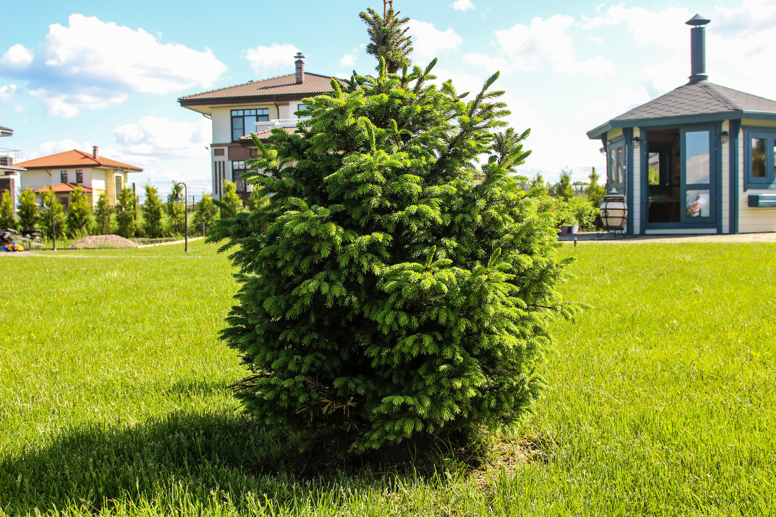 Онегин Парк 1