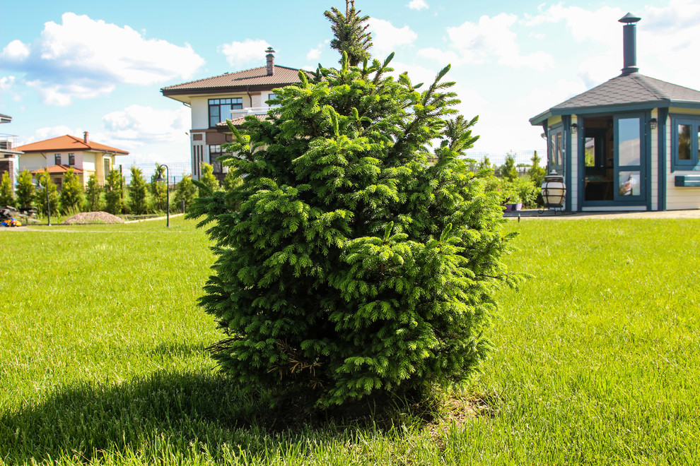 Онегин Парк 1