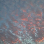 яков василенко