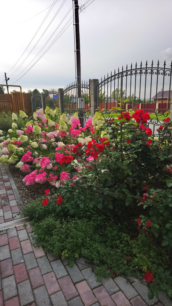 Маленький камерный сад.