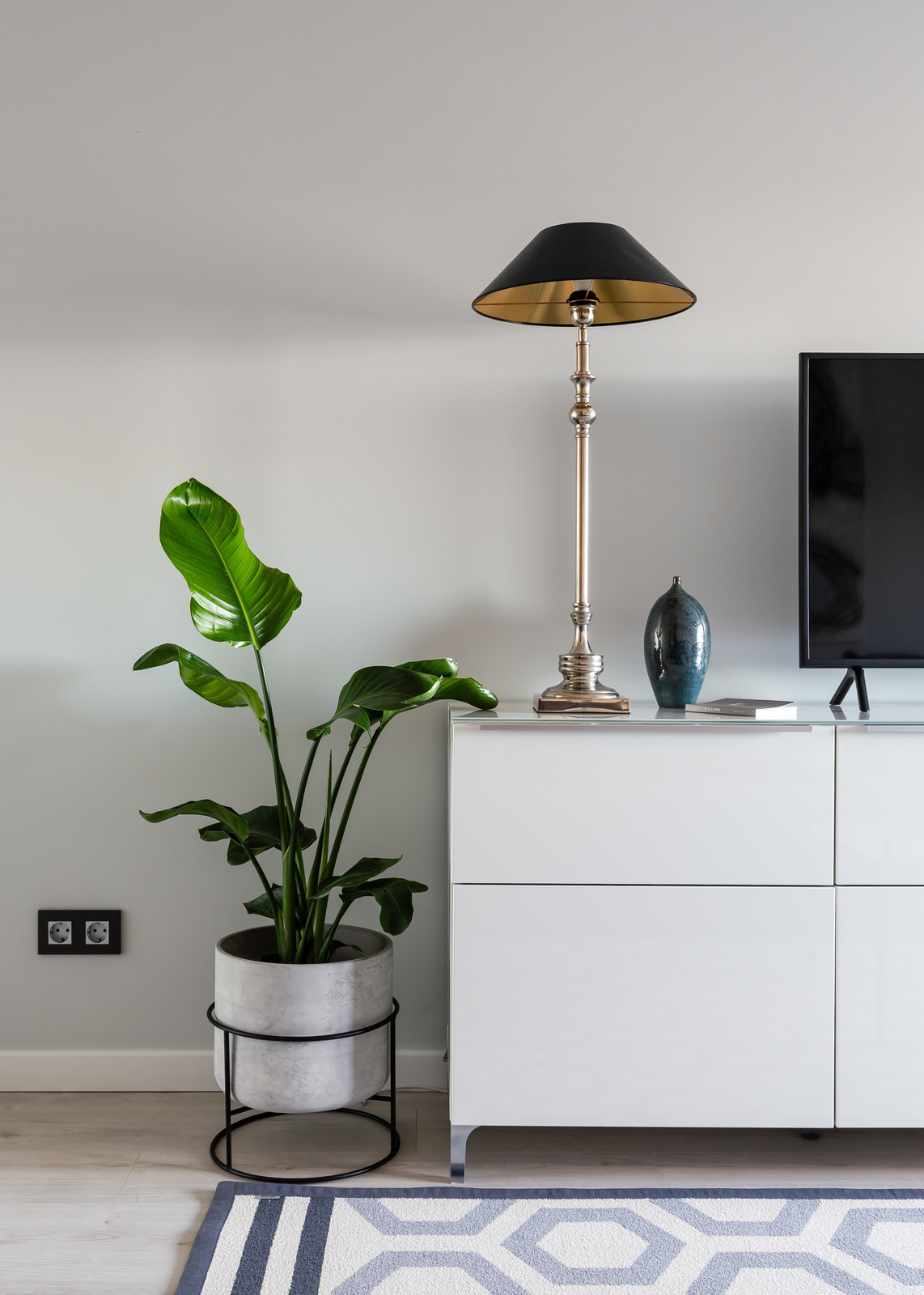 СЕВЕРНАЯ ВЕСНА в СПБ