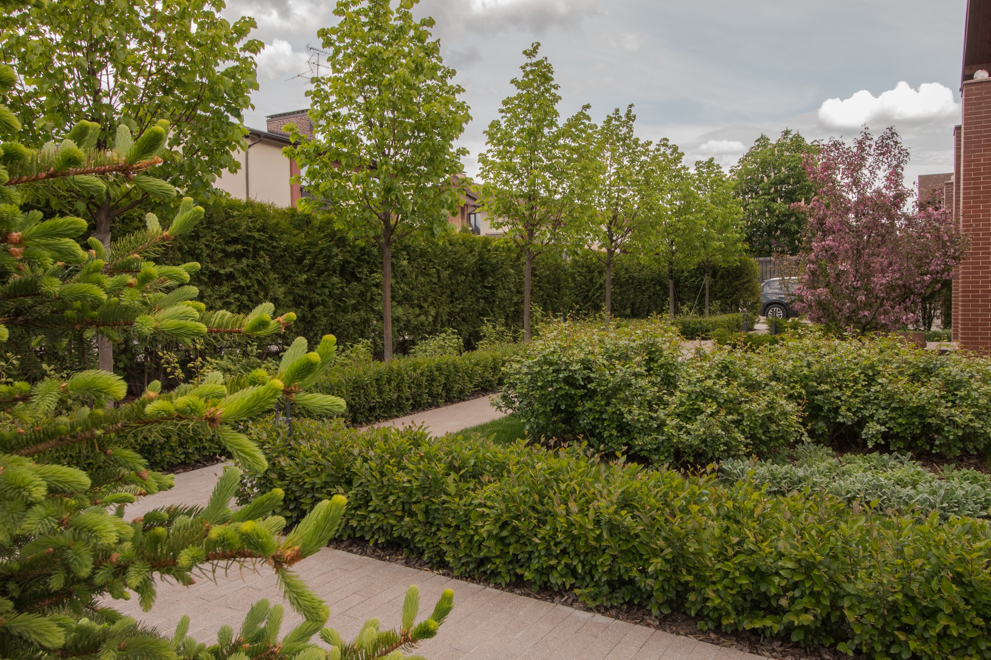 Опушкино_2019