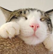 милка Калабушкин