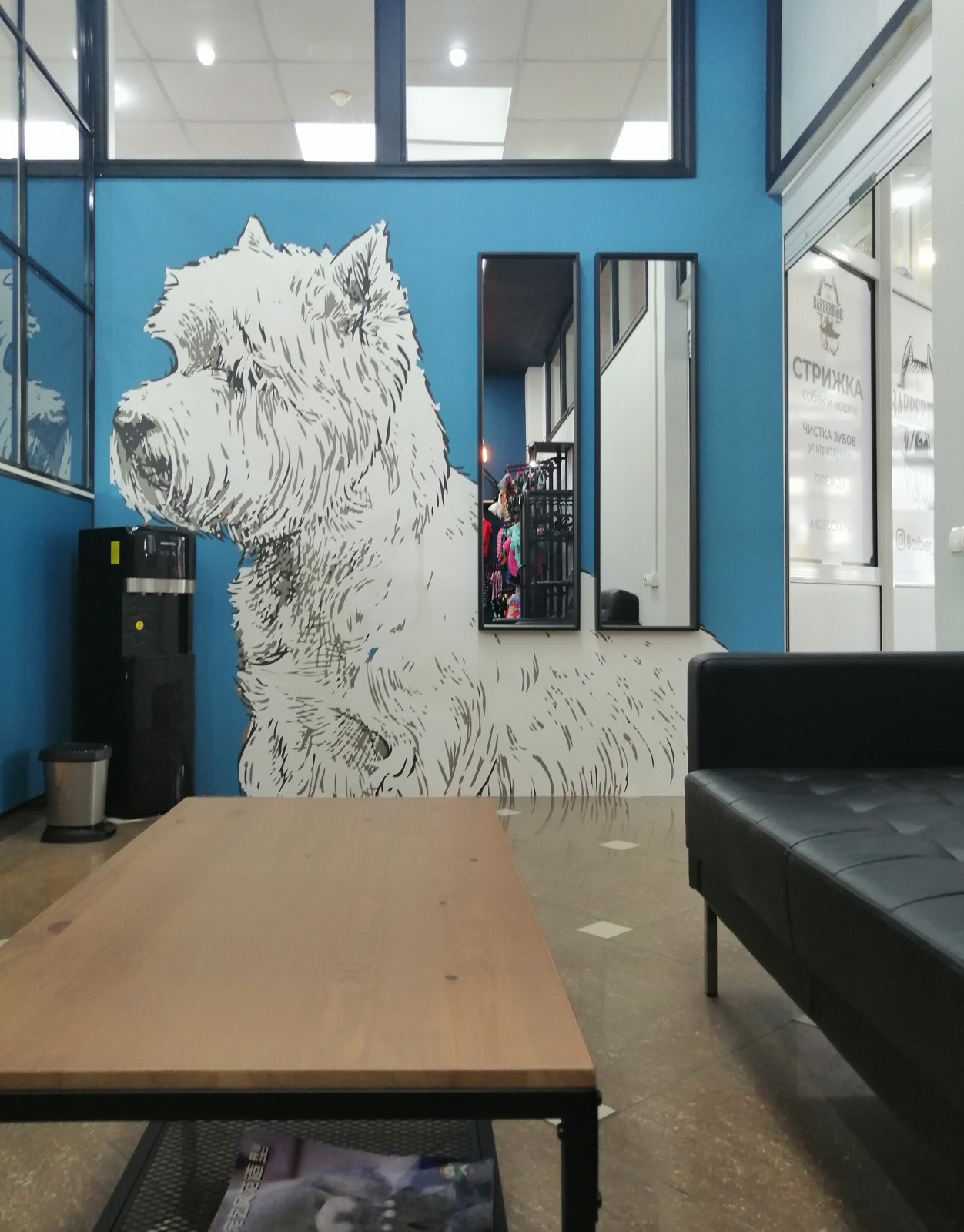 Груминг салон