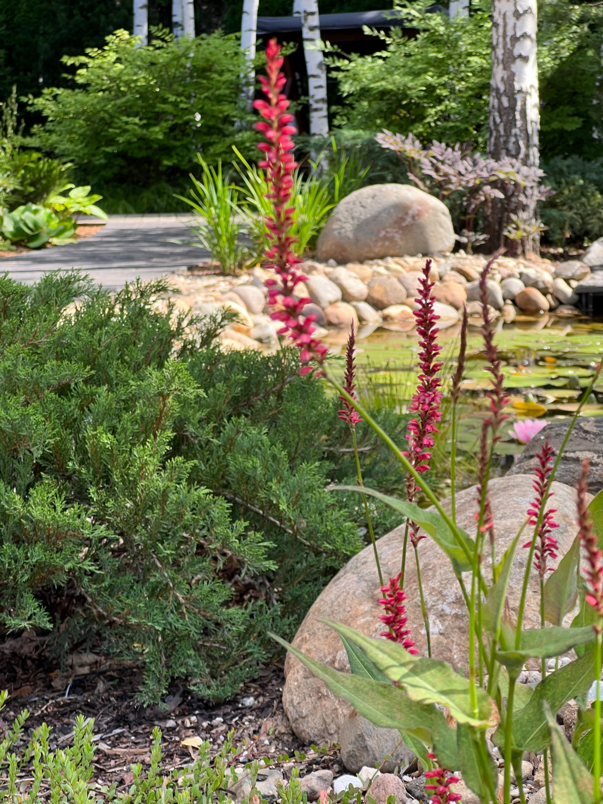 Английская история