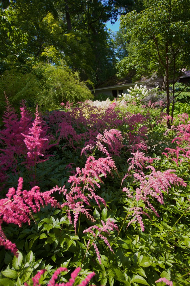 Хороший вопрос: Что посадить — однолетники или многолетники?