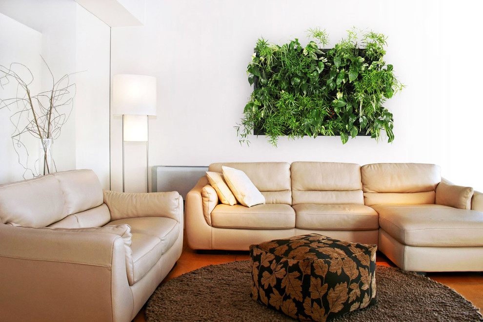 Азбука цветовода: Правила ухода за вертикальным садом