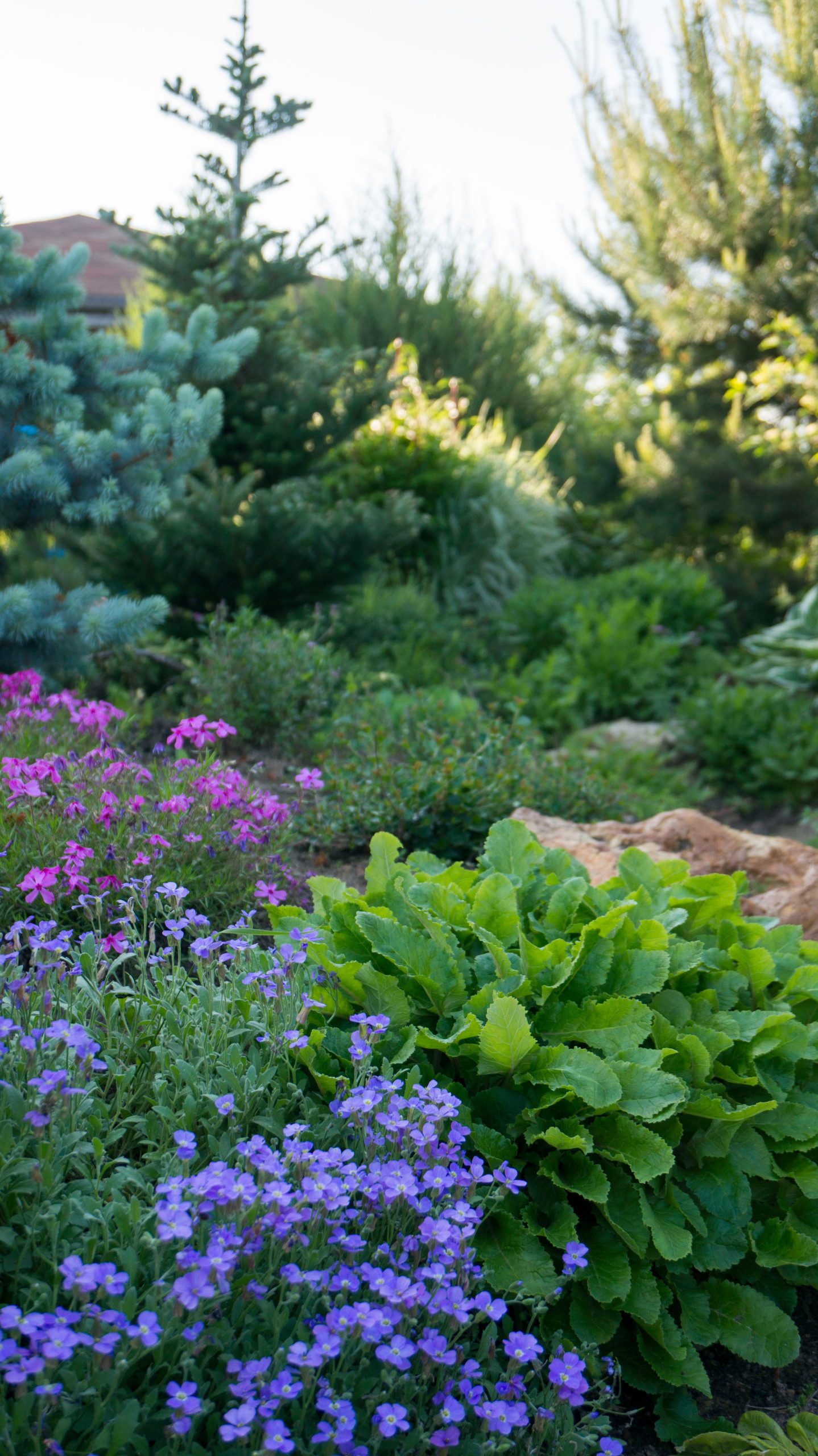 Дизайн клумбы: Шаг за шагом