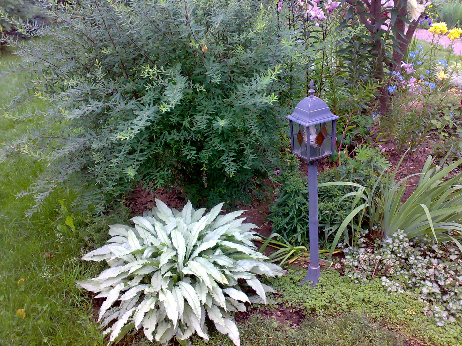 Усадебный семейный сад