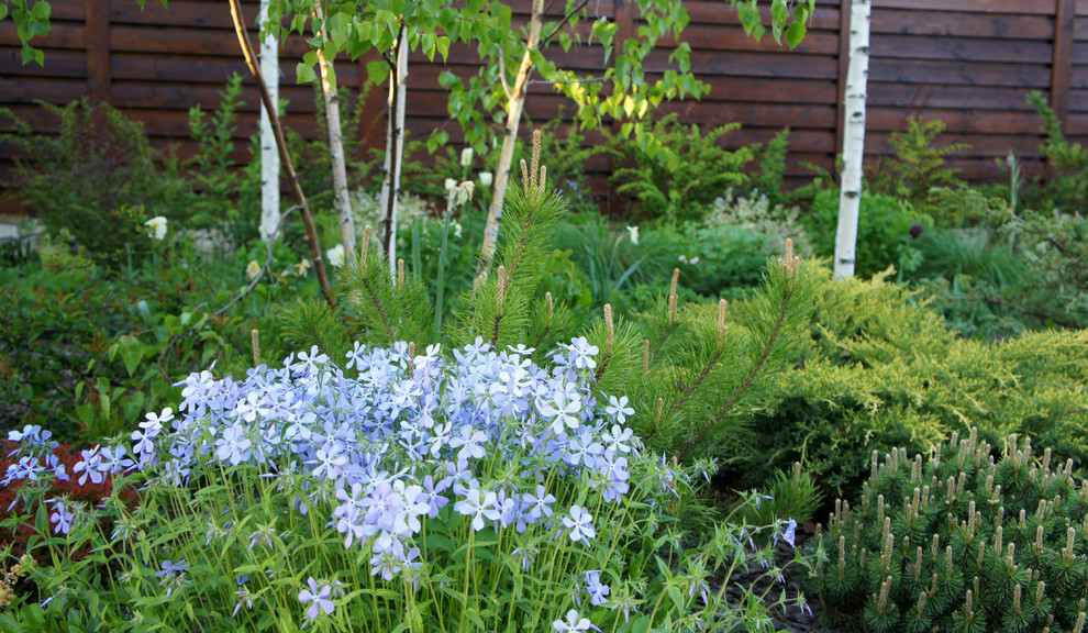 участок в Прохорово