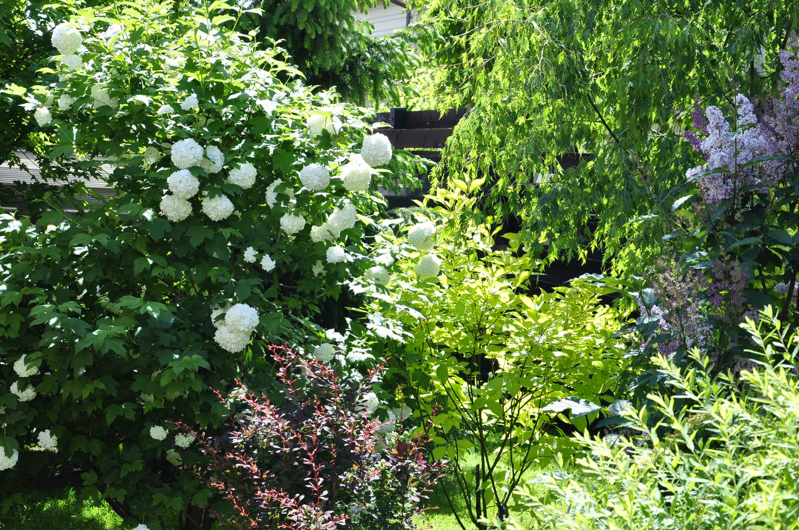 кп "Мелоди" - Уход за садом - 100% качество