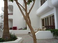 Вера Осадчая