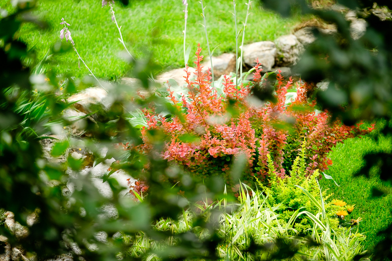 Простор и комфорт загородной жизни