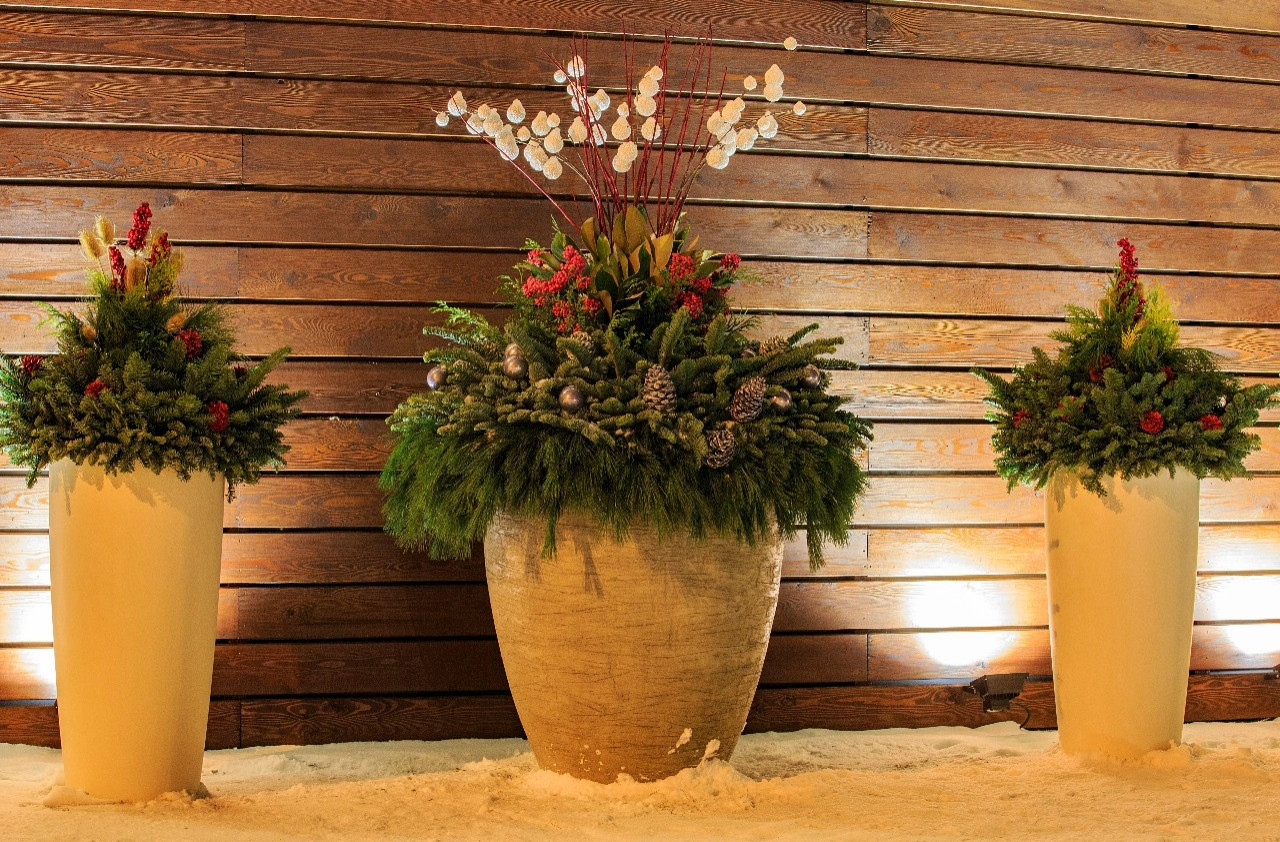 Светлана Клевнова