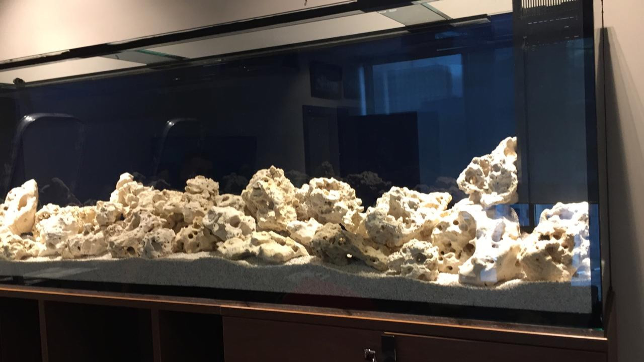 Обложка проекта: Аквариум в интерьере