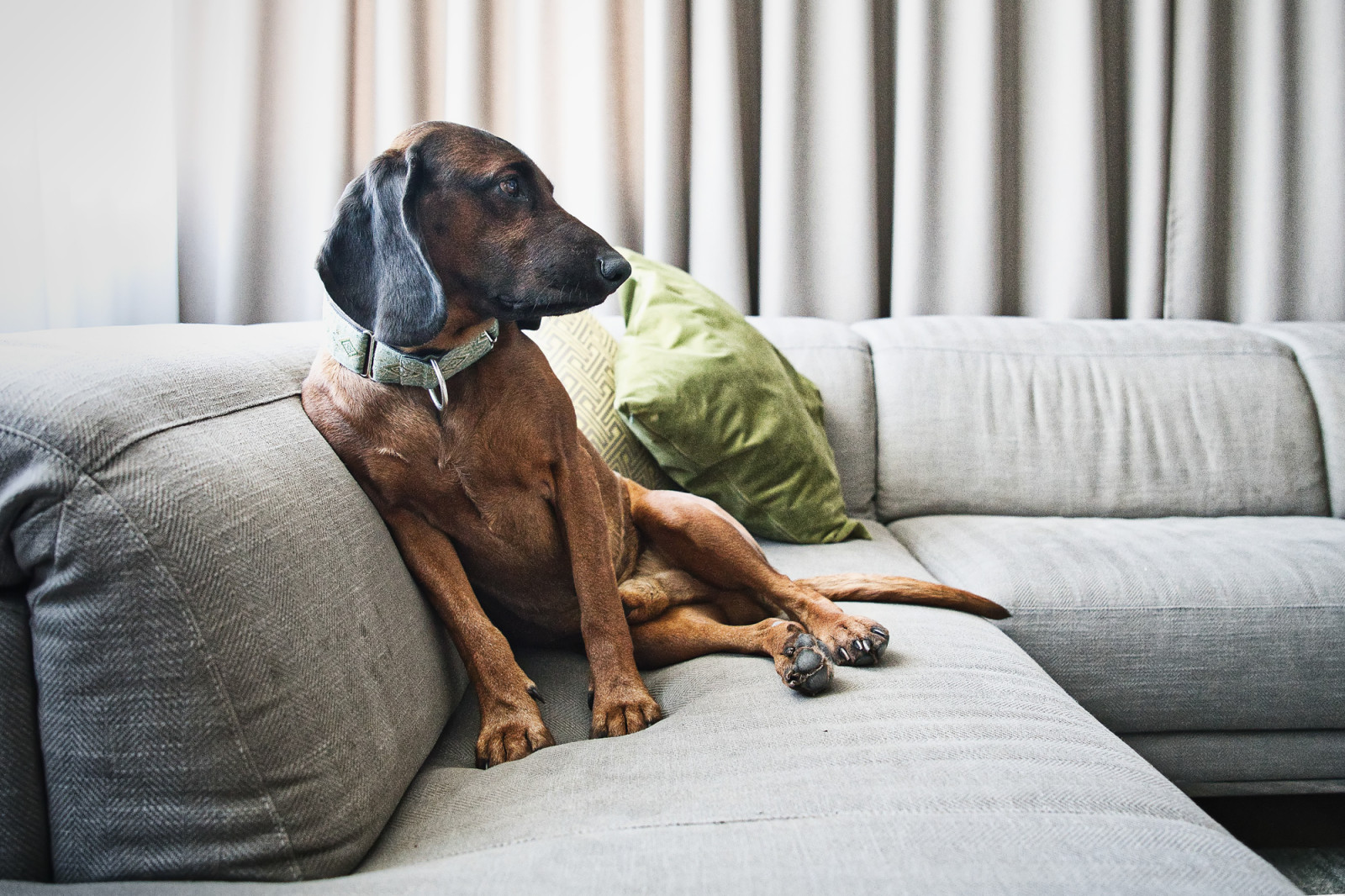 Квартира на Циолковского