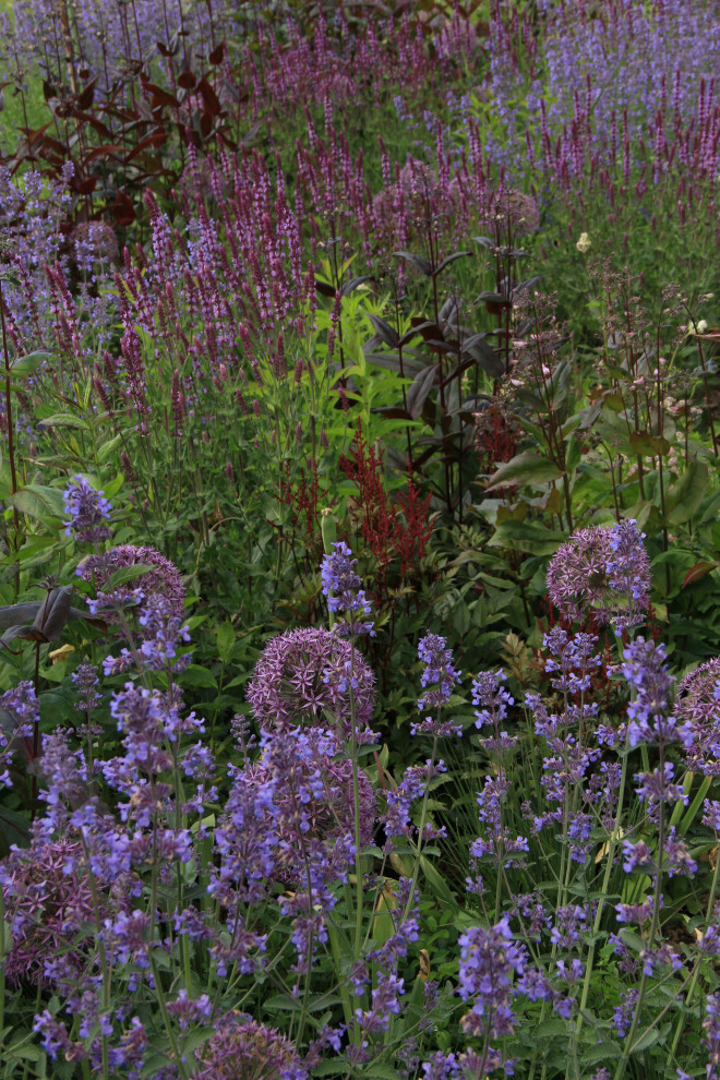 Злаковые цветники