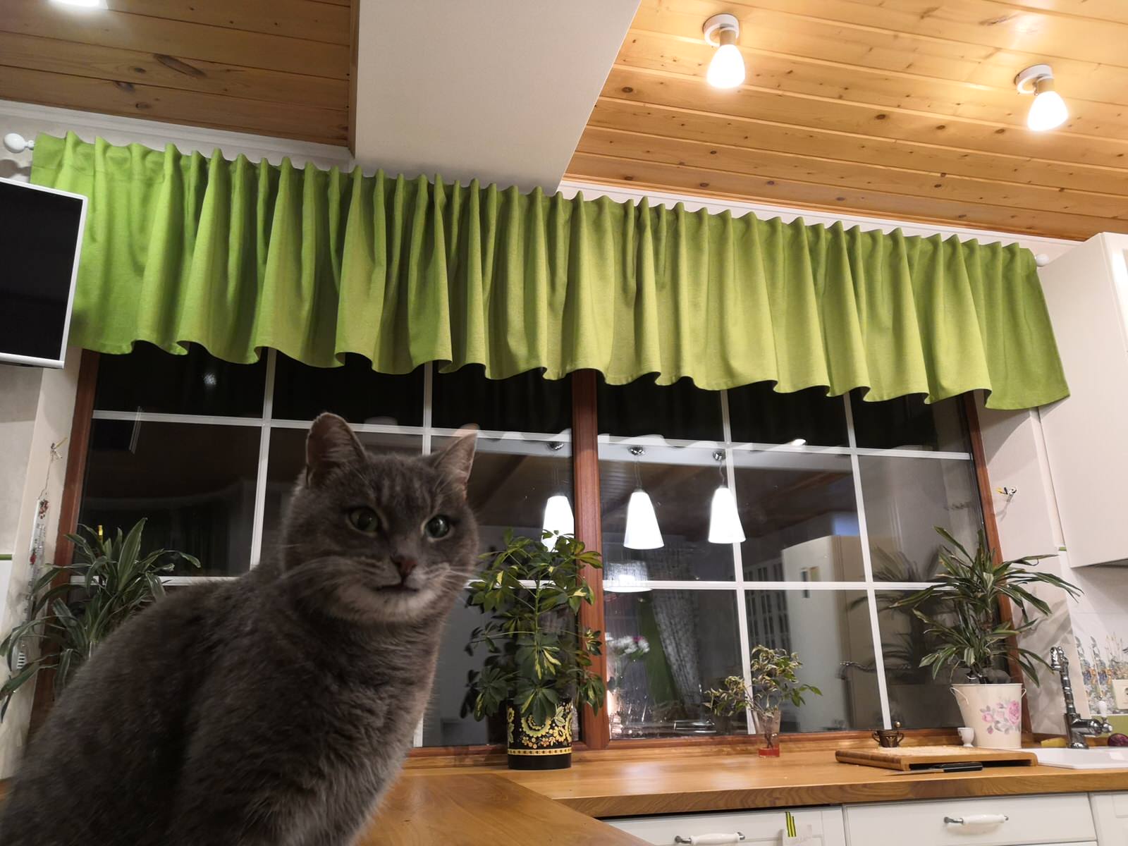 Обложка проекта: Кухни-столовые