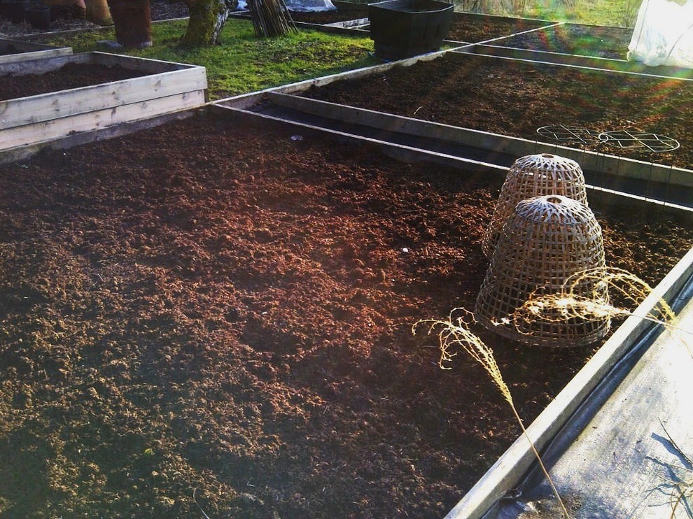 Хороший вопрос: Как избавиться от сорняков на даче навсегда