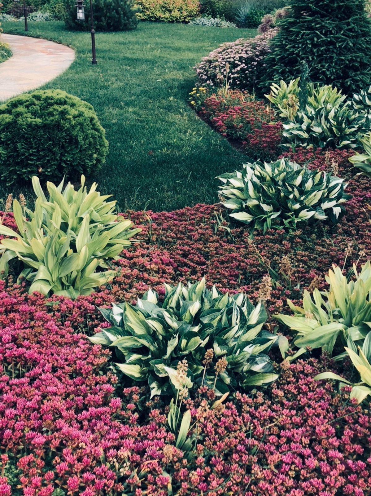 Обложка проекта: Разноцветные поляны