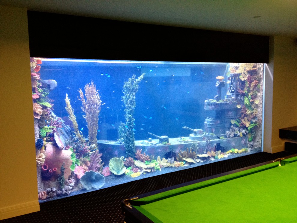 Водный мир: Как оформить аквариум внутри