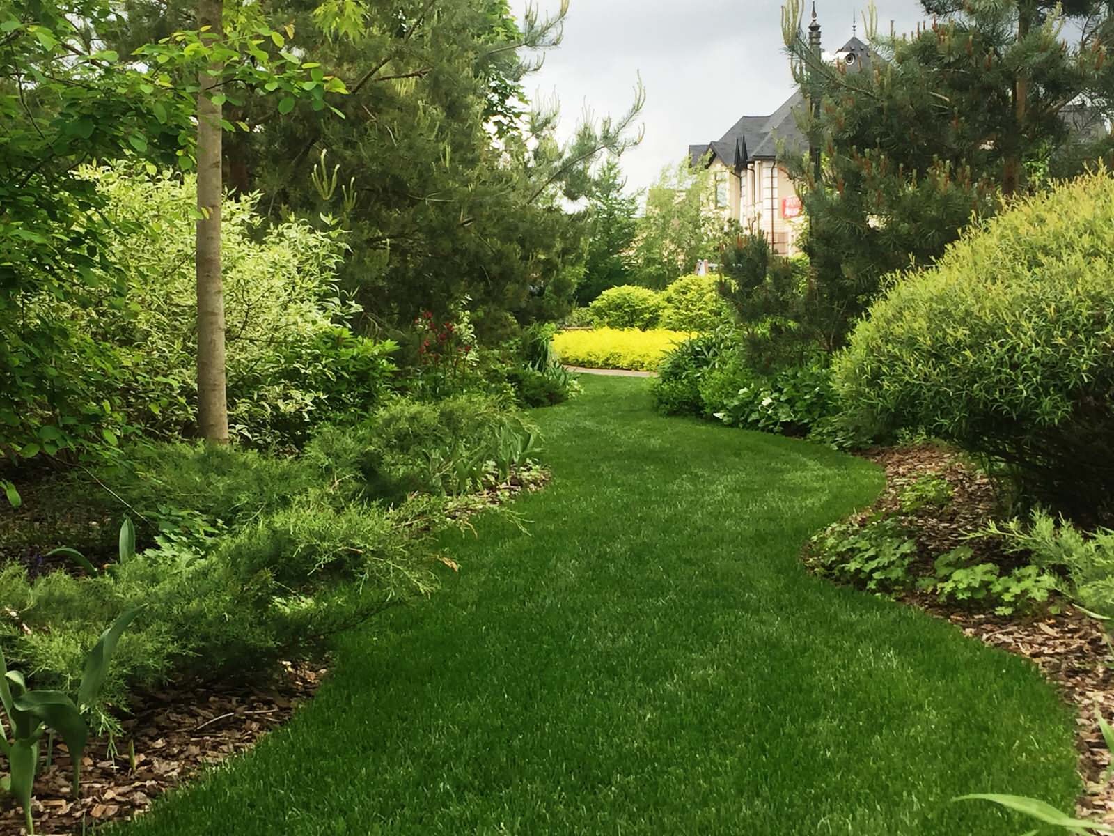 Холодное лето 2017