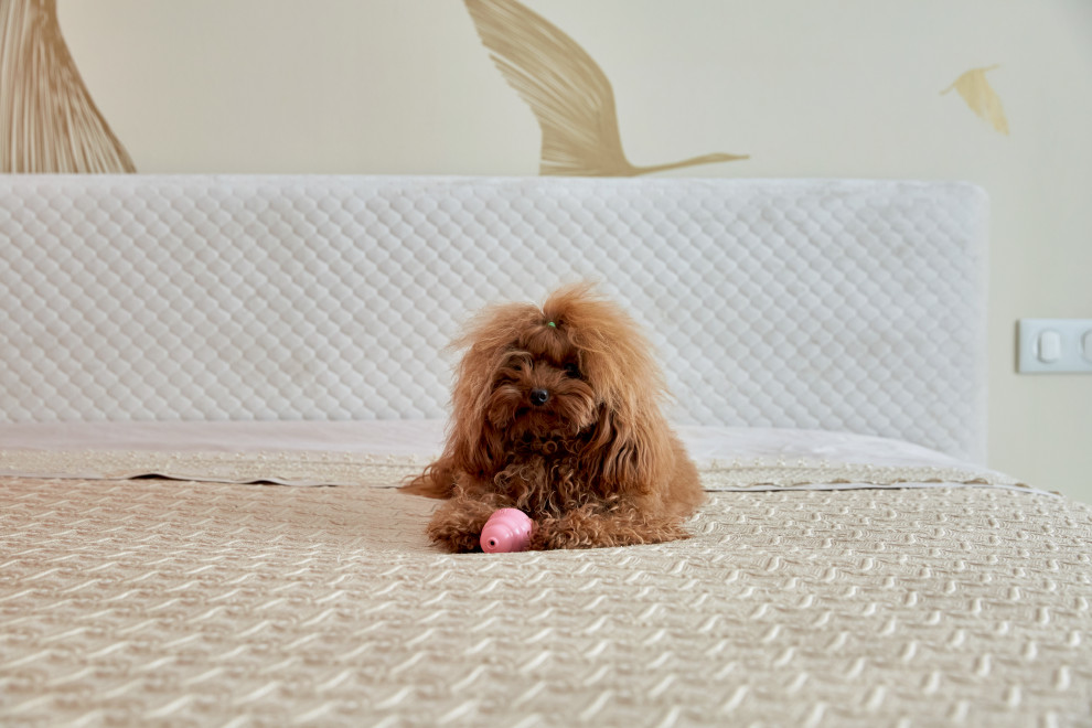 Квартира в пастельных оттенках