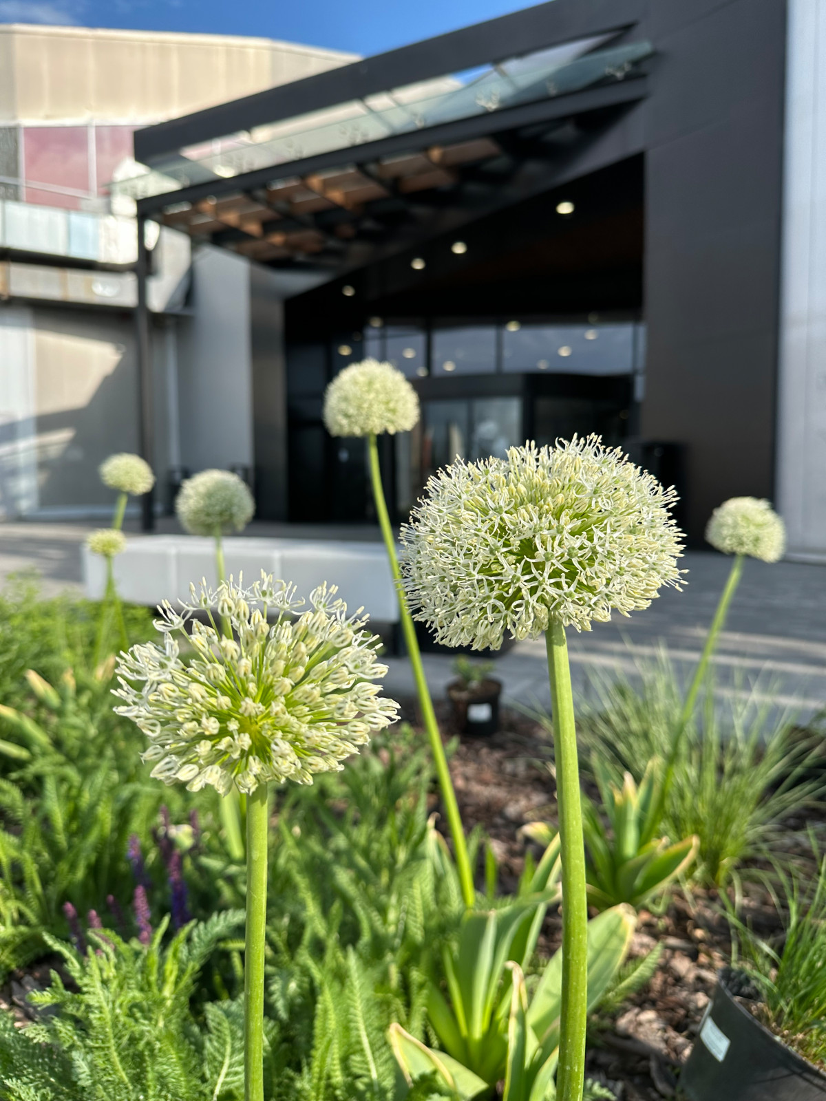 Обложка проекта: Благоустройство ландшафта торгового центра