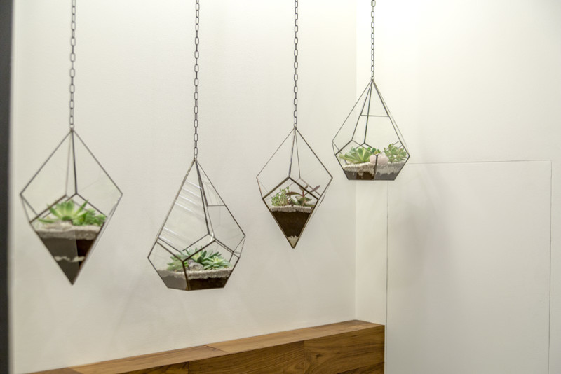 Северное сияние