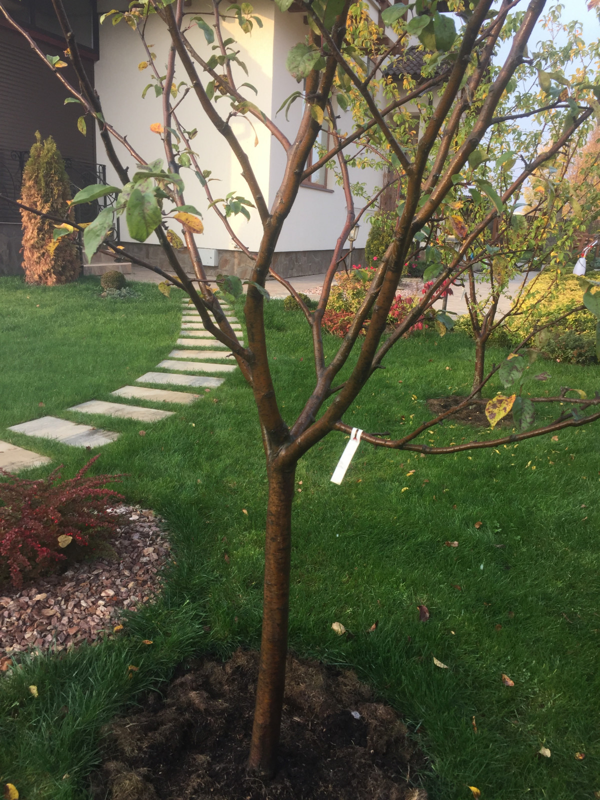 Обложка проекта: Ландшафтный дизайн участка треугольной формы