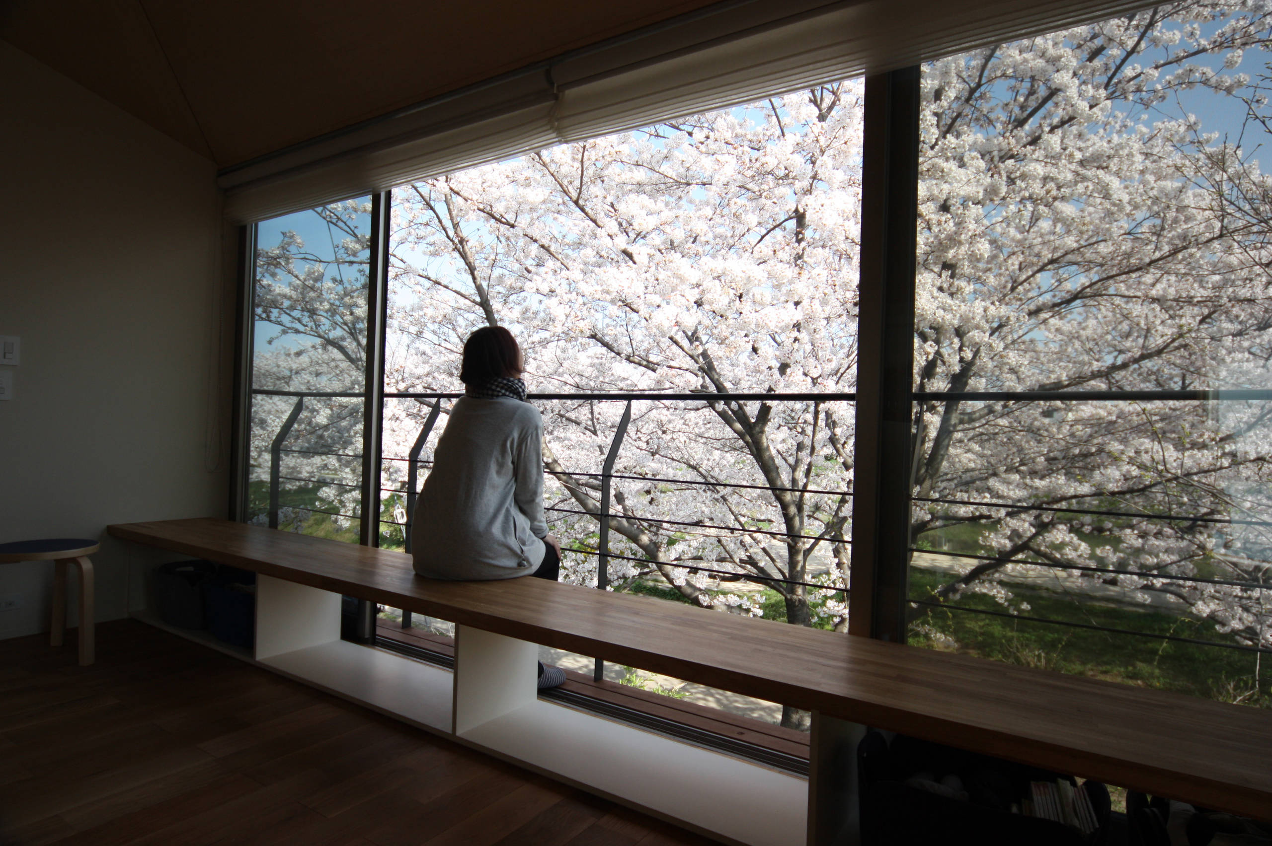 Houzz Япония: Праздник цветения сакуры или Дом со срезанными углами