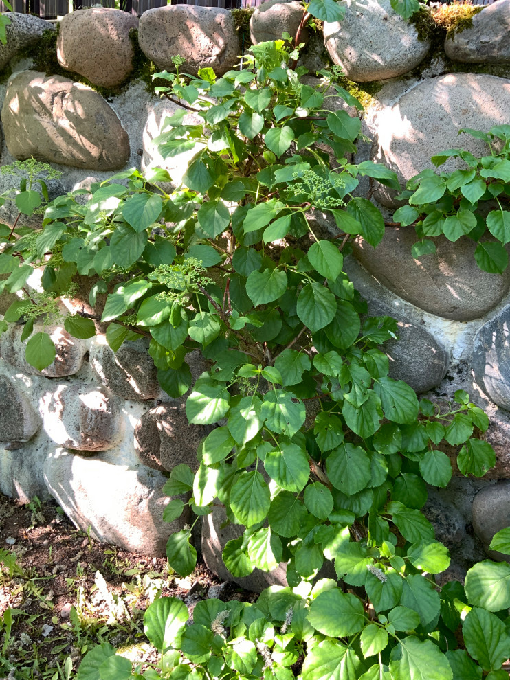 Сад натуралистического стиля