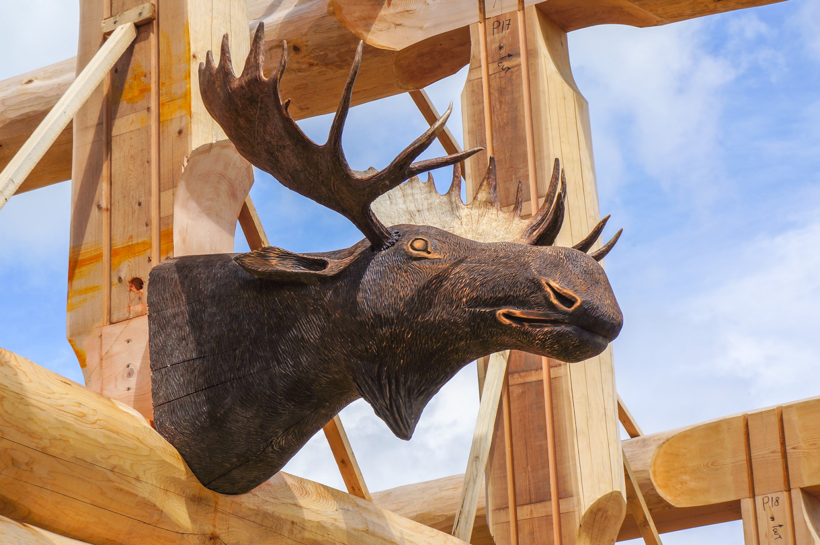 Обложка проекта: Канадец