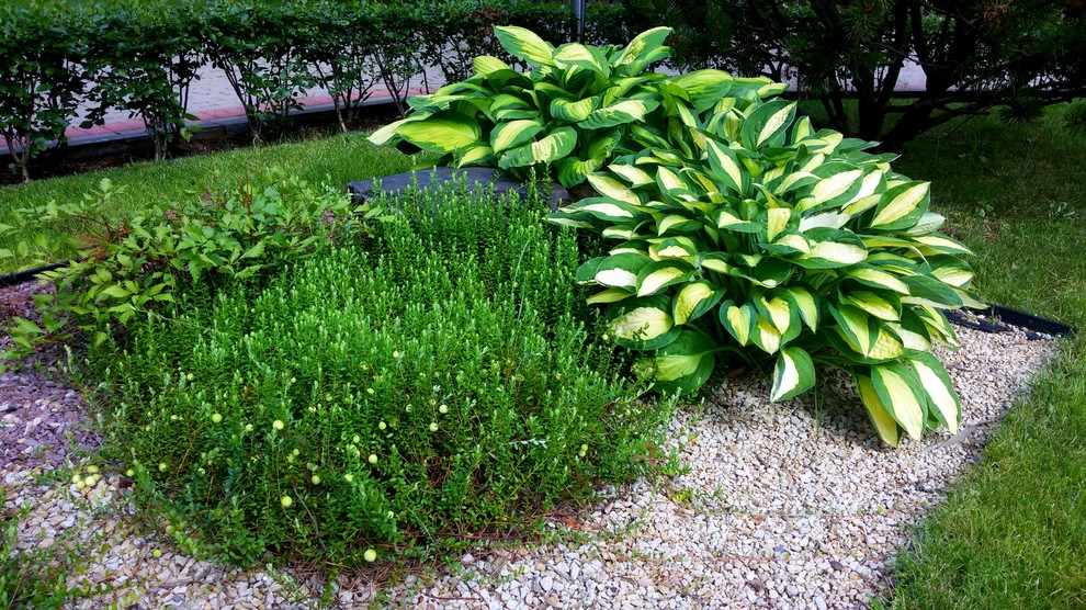 Миниатюрная композиция на газоне