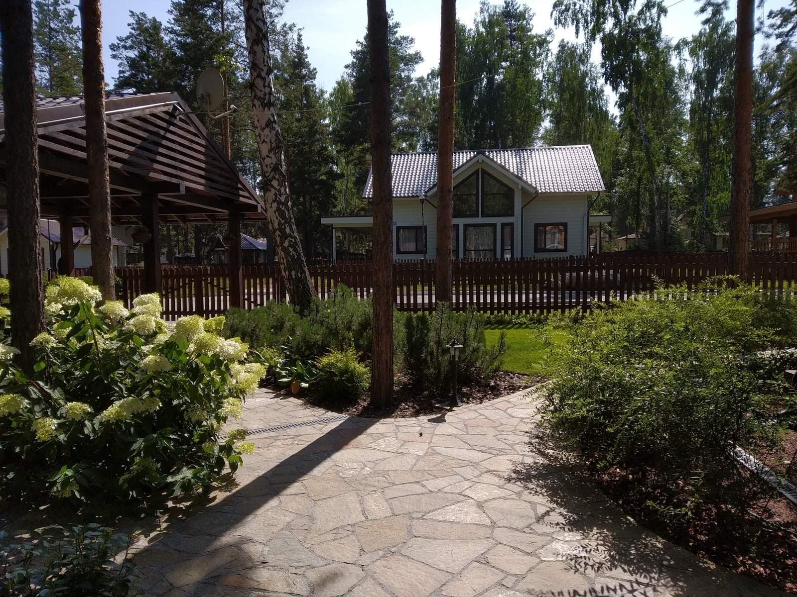 У леса на опушке