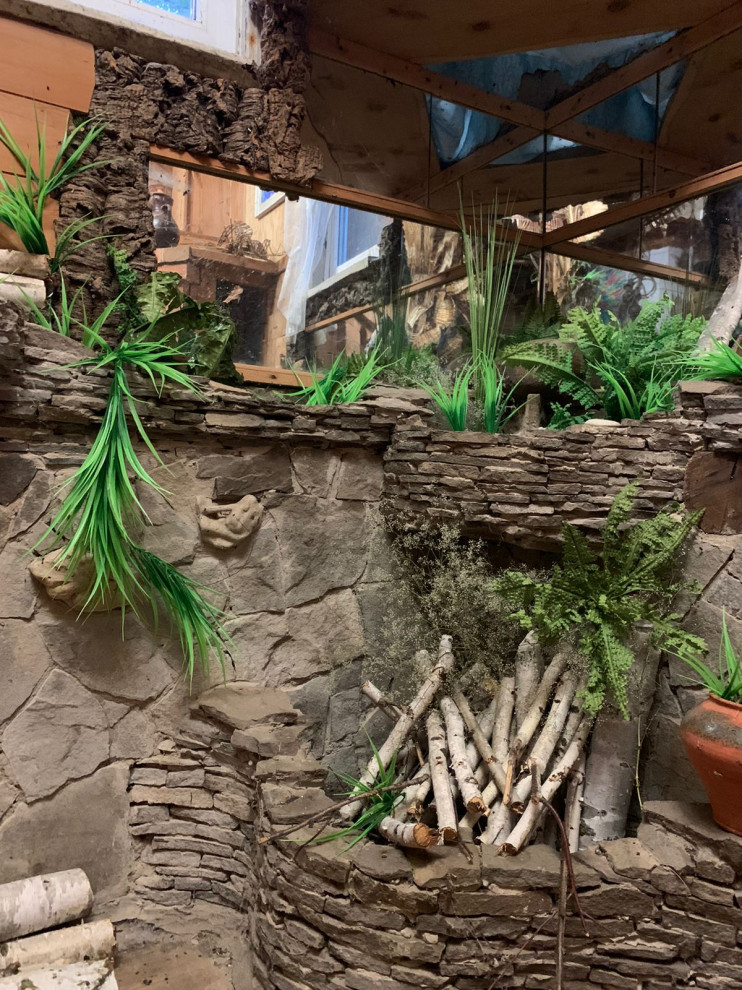 Обложка проекта: Зимний сад