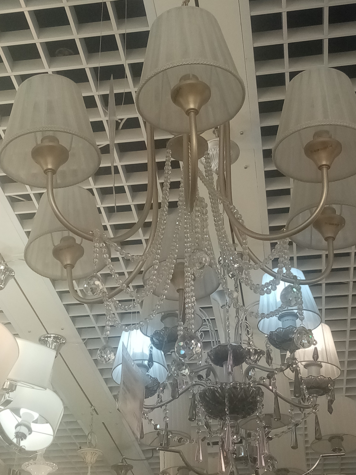 Алекса Бойко