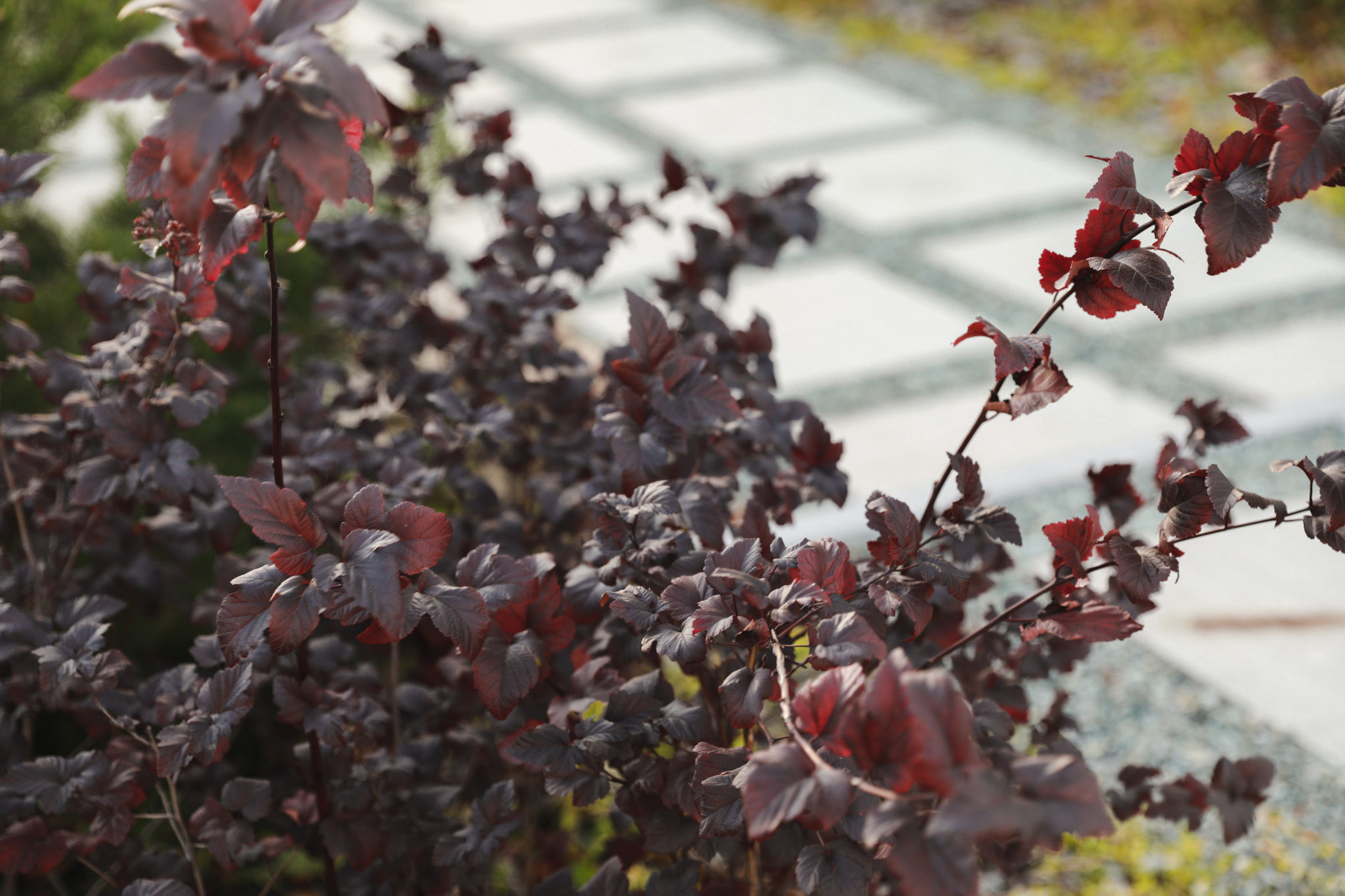 Оформление территории у офисного здания