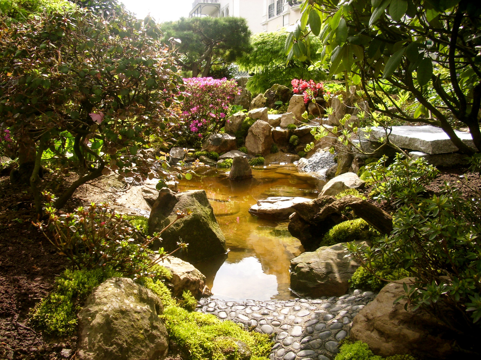 Back yard design for a hotel in Germany