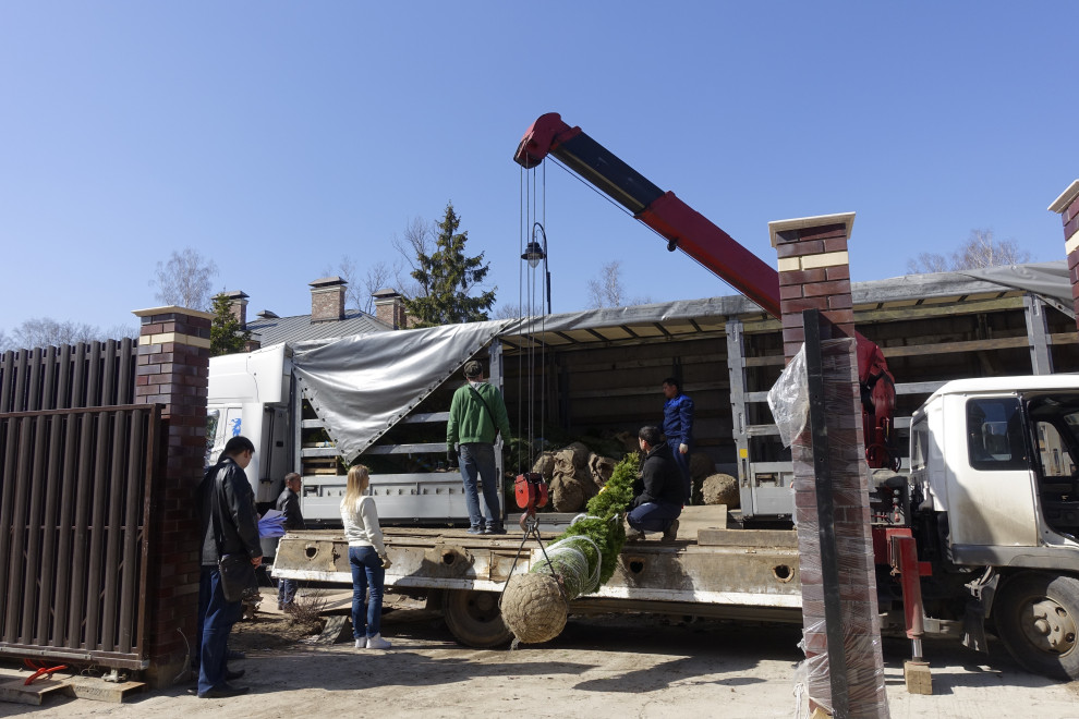 В работе 2020-2019-2018-2017-2016