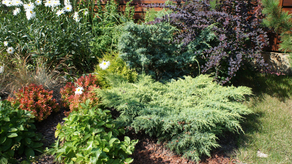 Прохорово лето 2017