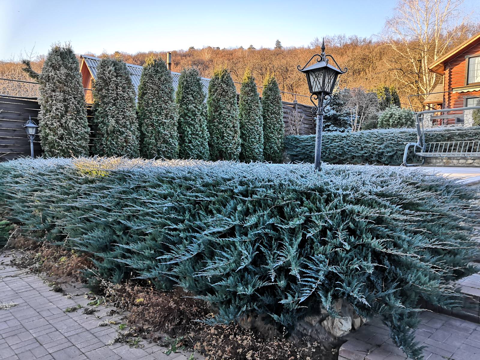 Среди Жигулевских гор