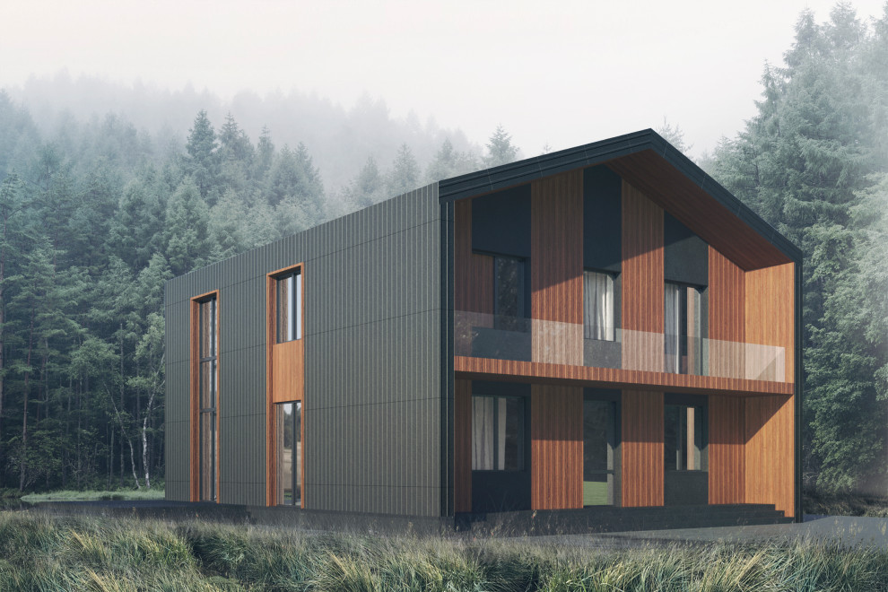 Концепция загородного дома, пример начальной-вариативной стадии проектирования.