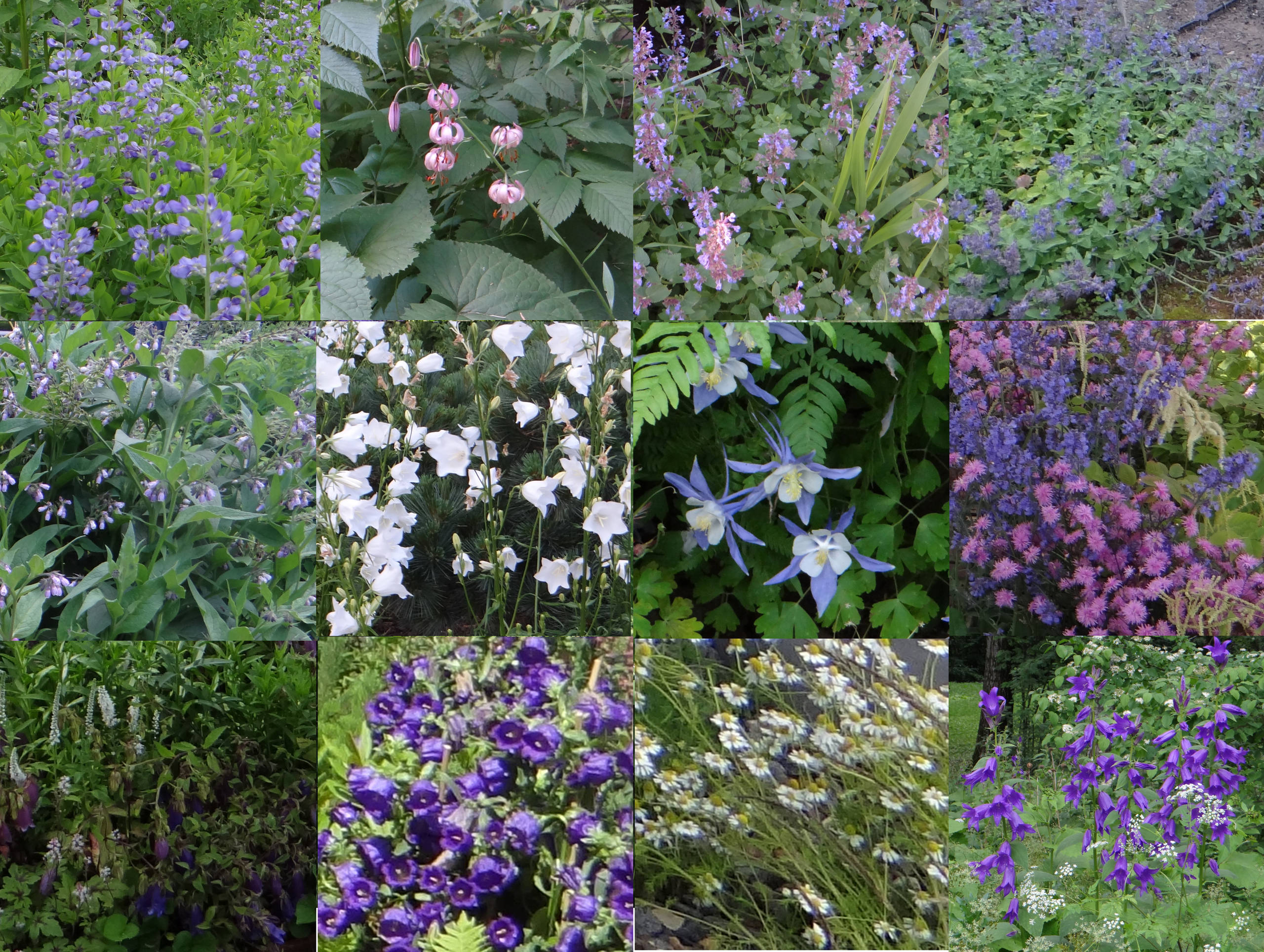 Проект недели: Французский сад на выставке в Москве