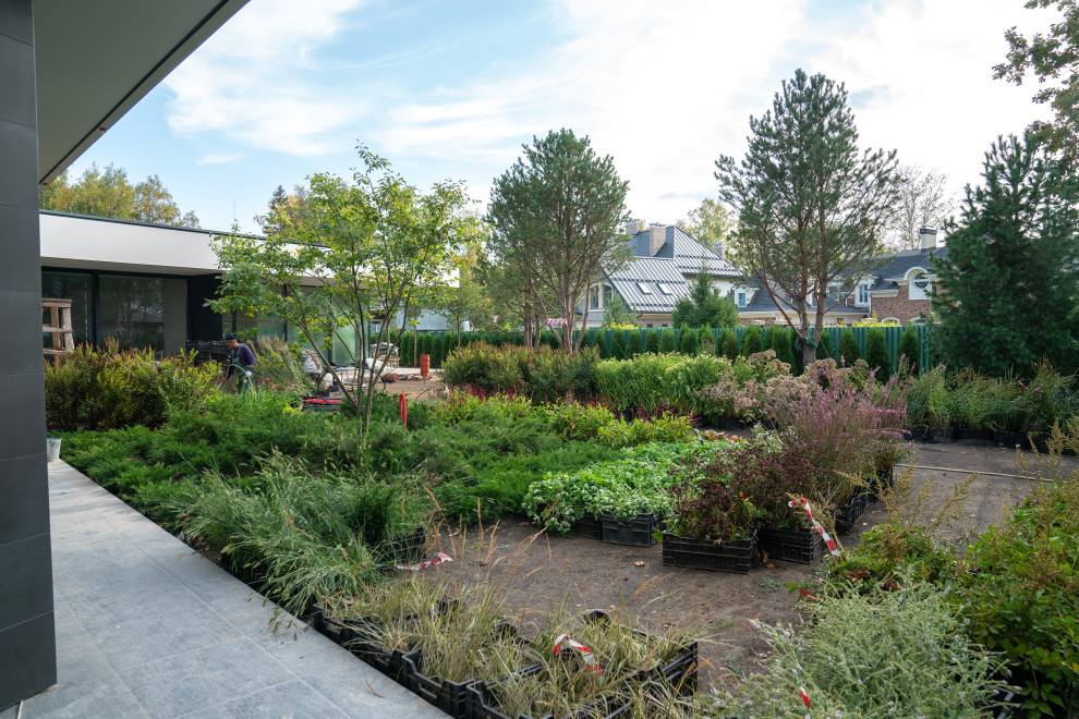 Антоновка. 30 соток. 2023 г.