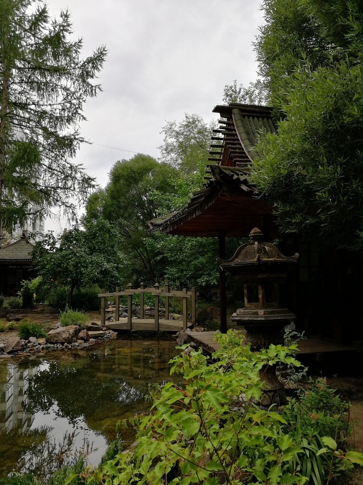 Андрей Мещанинов