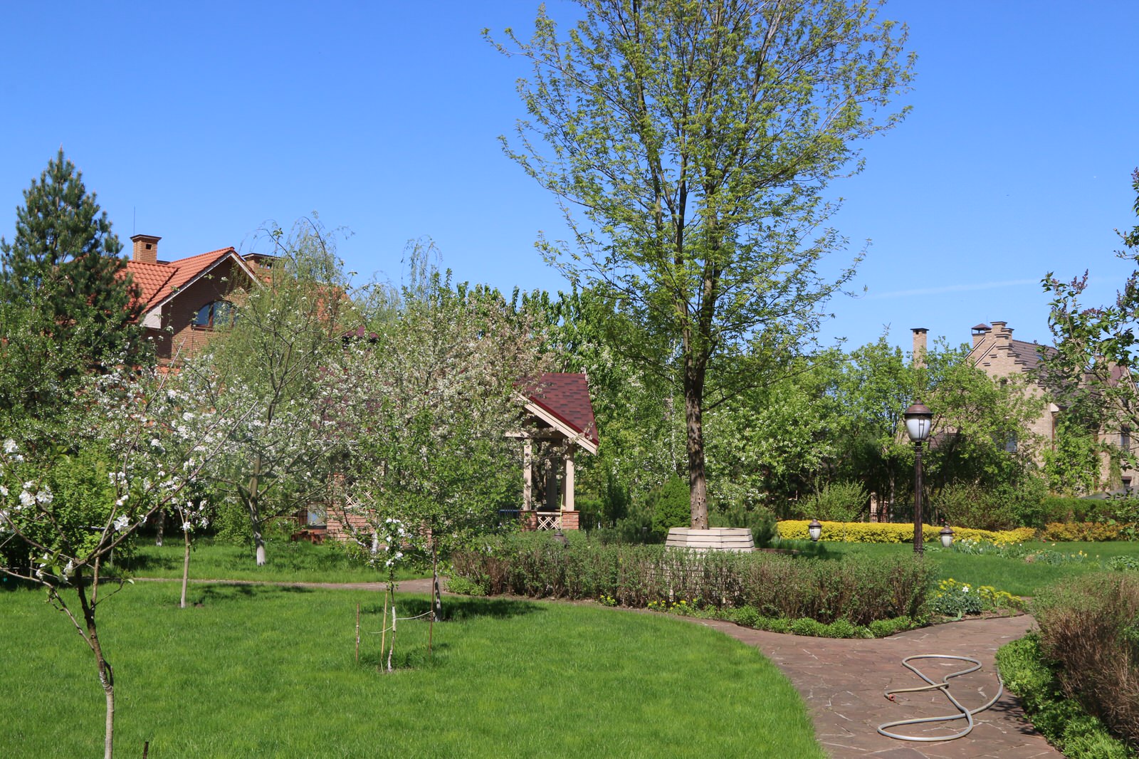 Бельгийка 01