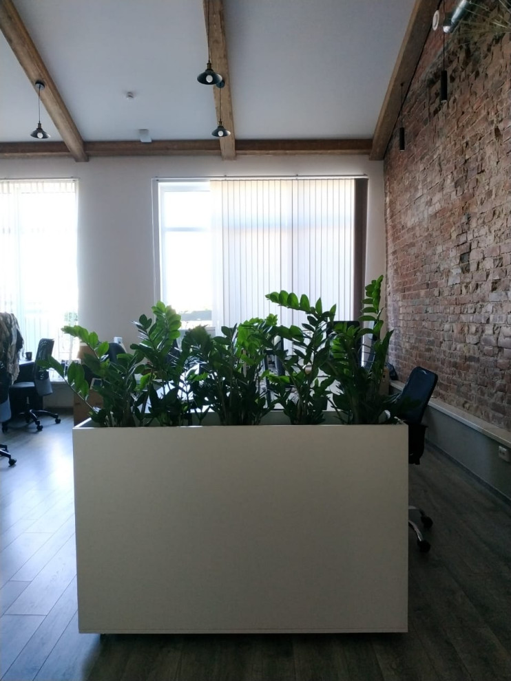 Озеленение офиса компании Кефир